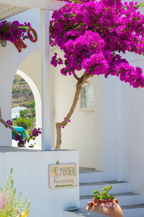 Morpheas Pension Rooms & Apartments Kamares  Екстер'єр фото